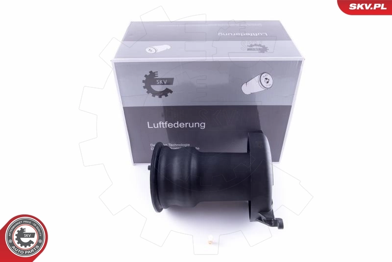 Air Spring, suspension